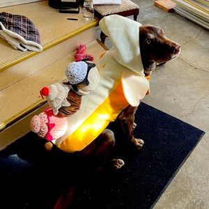 XL banana split dog costume